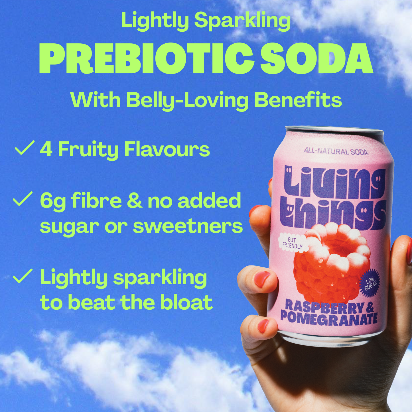Raspberry & Pomegranate Prebiotic Soda - Living Things